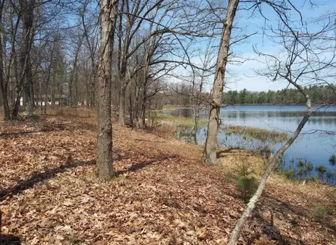 V/l N Beaver, Bitely, MI 49309 photo 3