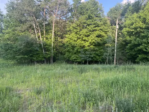 2450 N Maple Is, Hesperia, MI 49421 photo 4