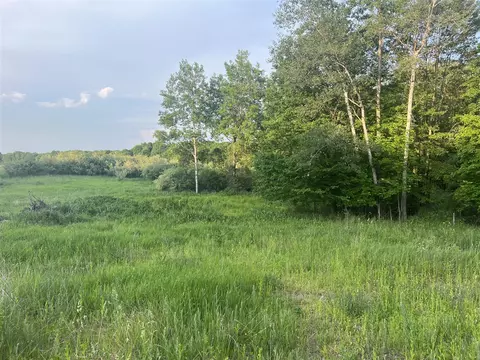 2450 N Maple Is, Hesperia, MI 49421 photo 3