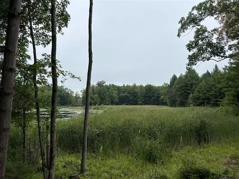 V/l Hwy Us10, Baldwin, MI 49304