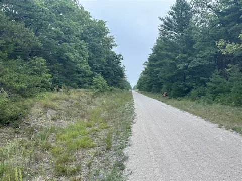 V/l Hwy Us10, Baldwin, MI 49304 photo 3