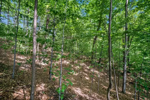 Parcel I Norman, Arcadia, MI 49613 photo 6