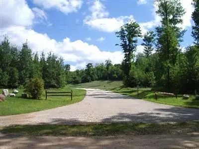 Parcel I Norman, Arcadia, MI 49613 photo 8