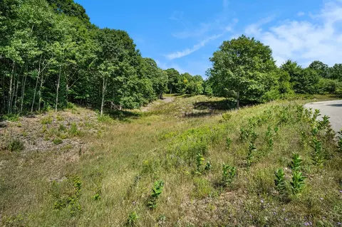 Parcel I Norman, Arcadia, MI 49613 photo 13