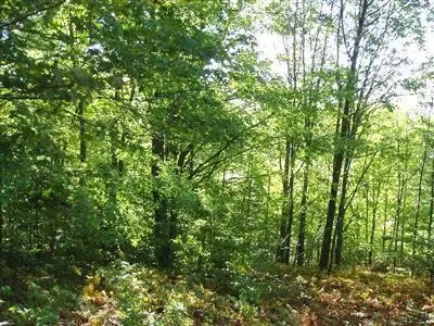 Parcel I Norman, Arcadia, MI 49613 photo 23