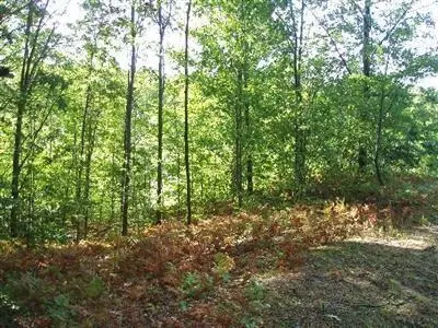 Parcel I Norman, Arcadia, MI 49613 photo 22
