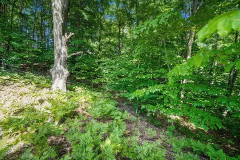 Parcel I Norman, Arcadia, MI 49613 photo 5