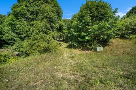 Parcel I Norman, Arcadia, MI 49613 photo 14