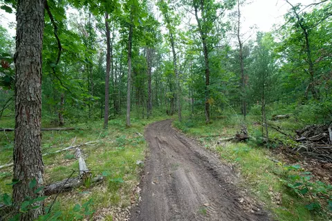 0000 W 12 Mile, Irons, MI 49644