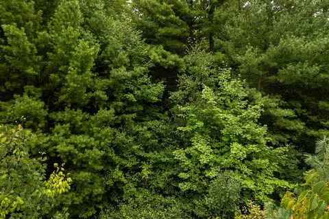 00 E 1 Mile Rd, White Cloud, MI 49349 photo 23
