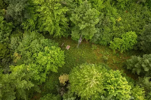 00 E 1 Mile Rd, White Cloud, MI 49349 photo 19
