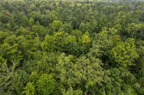 00 E 1 Mile Rd, White Cloud, MI 49349 photo 24