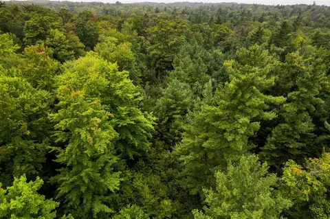 00 E 1 Mile Rd, White Cloud, MI 49349 photo 18