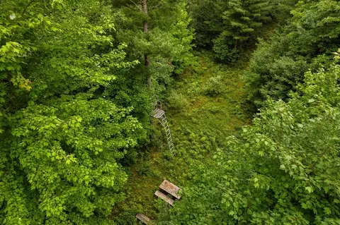 00 E 1 Mile Rd, White Cloud, MI 49349 photo 4