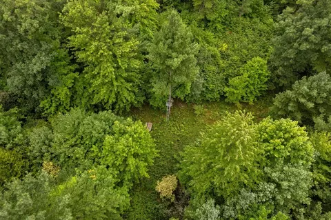 00 E 1 Mile Rd, White Cloud, MI 49349 photo 15