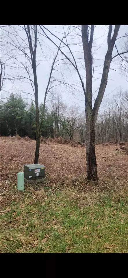 lot2 Highfield Rd, Three Rivers, MI 49093 photo 9