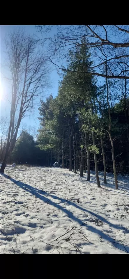 lot2 Highfield Rd, Three Rivers, MI 49093 photo 8