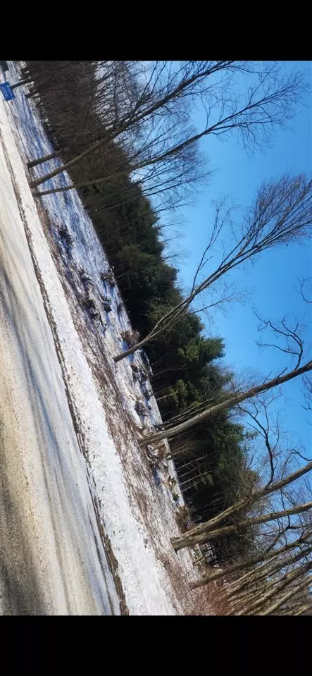 lot2 Highfield Rd, Three Rivers, MI 49093 photo 12