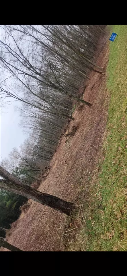 lot2 Highfield Rd, Three Rivers, MI 49093 photo 14