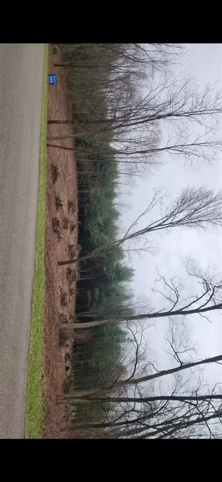 lot2 Highfield Rd, Three Rivers, MI 49093 photo 11