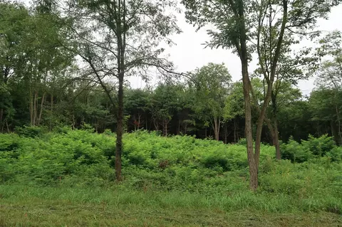 lot2 Highfield Rd, Three Rivers, MI 49093