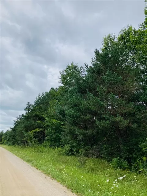 Vl 155th Ave, Hersey, MI 49639