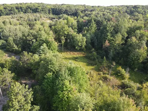 19236 230th, Big Rapids, MI 49307 photo 7