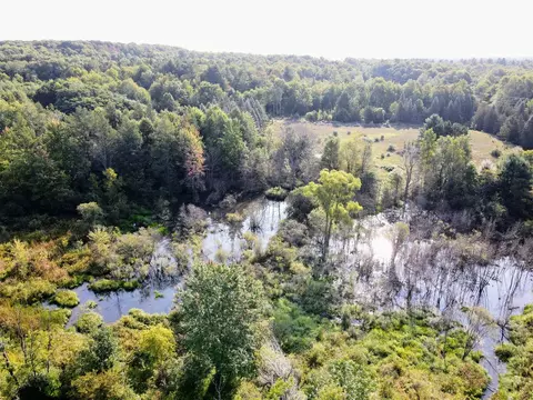 19236 230th, Big Rapids, MI 49307 photo 5
