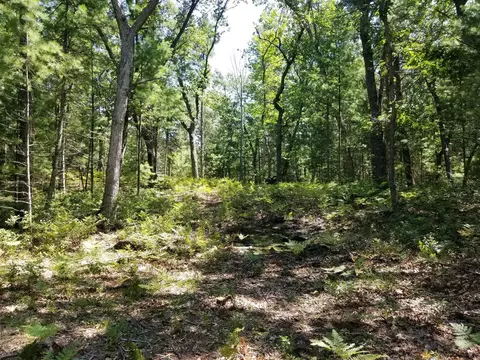 Vl N Perry, Pentwater, MI 49449