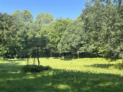 Campbell, Branch, MI 49402 photo 13
