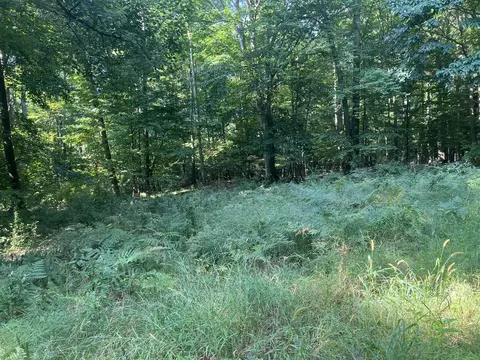 Campbell, Branch, MI 49402 photo 3