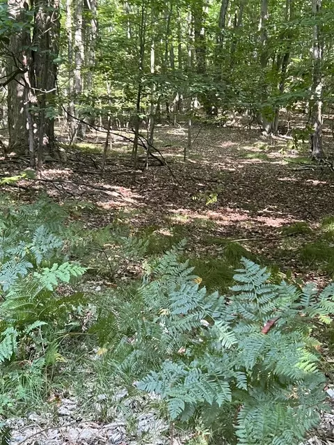 Campbell, Branch, MI 49402 photo 9