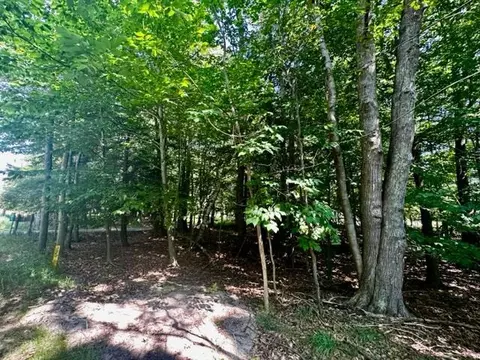Portage Point, Onekama, MI 49675