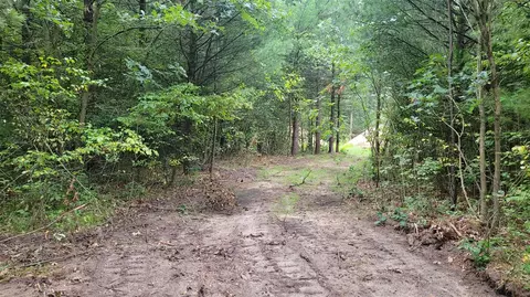 21403 W Gates, Howard City, MI 49329