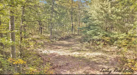 V/l S Woodland Dr, Newaygo, MI 49337