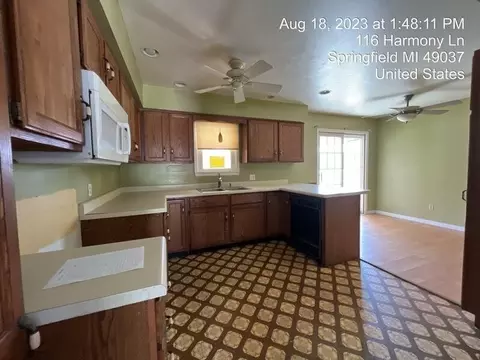 116 Harmony, Springfield, MI 49037 photo 10