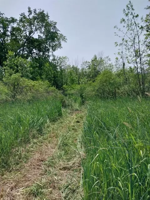6464 Us-223, Addison, MI 49220 photo 24