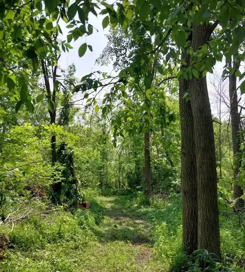 6464 Us-223, Addison, MI 49220 photo 27