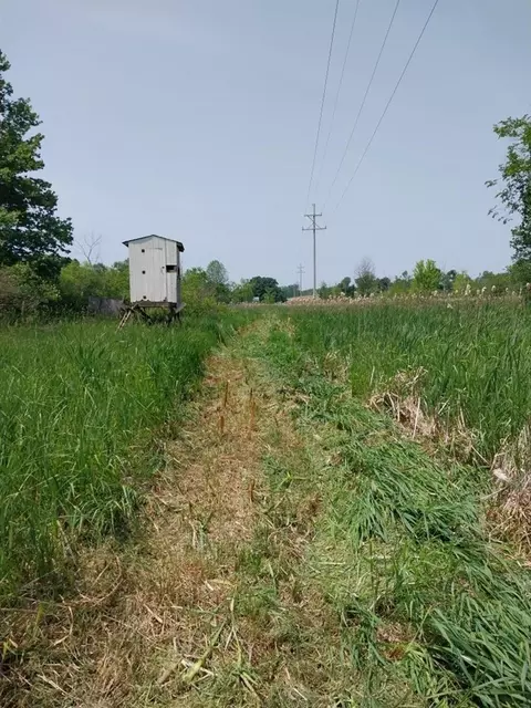 6464 Us-223, Addison, MI 49220 photo 23