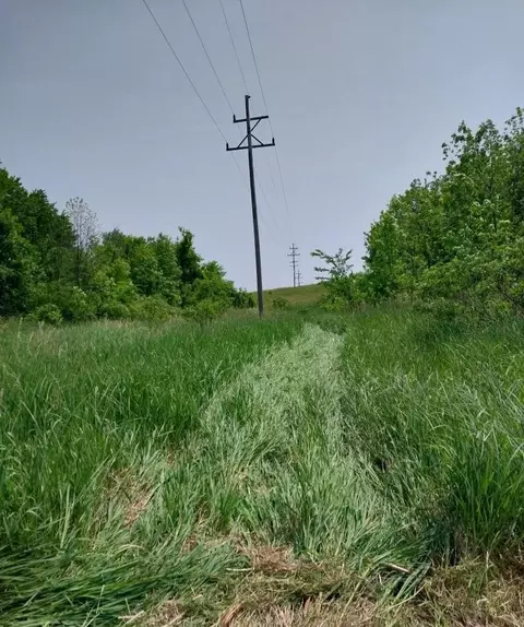 6464 Us-223, Addison, MI 49220 photo 26
