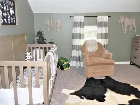 543 Elm, Colon, MI 49040 photo 17