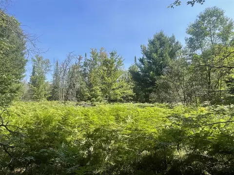 Nn 5th, Marion, MI 49665