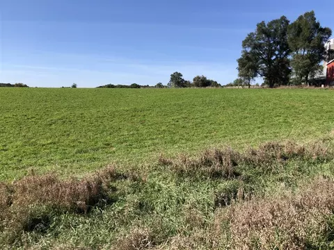 lot2 Whites Brg, Belding, MI 48809 photo 3