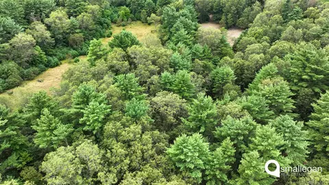 Parcel A Cypress, Newaygo, MI 49337 photo 5