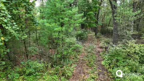 Parcel A Cypress, Newaygo, MI 49337 photo 7