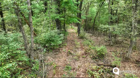 Parcel A Cypress, Newaygo, MI 49337 photo 8