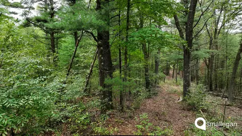 Parcel A Cypress, Newaygo, MI 49337 photo 10