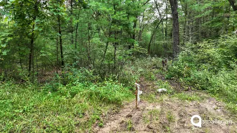 Parcel A Cypress, Newaygo, MI 49337 photo 6