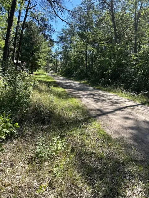 V/l Saginaw Bay, Baldwin, MI 49304 photo 3