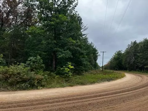 Parcel A Michway, Baldwin, MI 49304